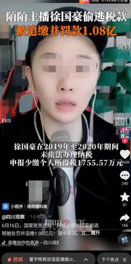 處罰之外更需法律反思 從徐國豪逃稅案看稅收監(jiān)管的漏洞