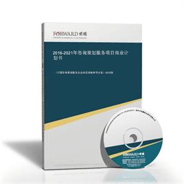 2016-2021年咨詢策劃服務項目商業計劃書 洞察、戰略與增長
